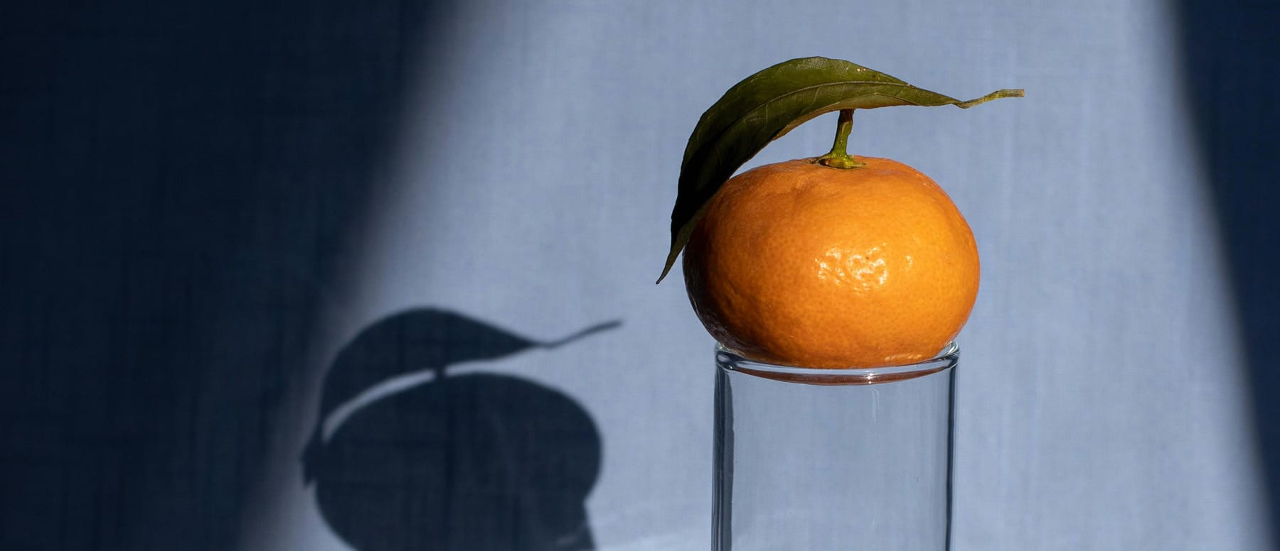Importancia De La Vitamina C En Serums