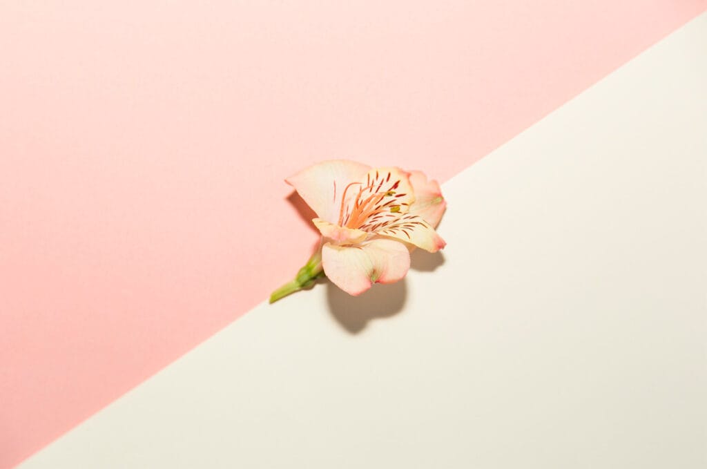 sintomas flushing facial